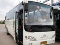 廈門個人與企業(yè)汽車出租服務(wù) 專業(yè)的出行解決方案與內(nèi)飾用品推薦