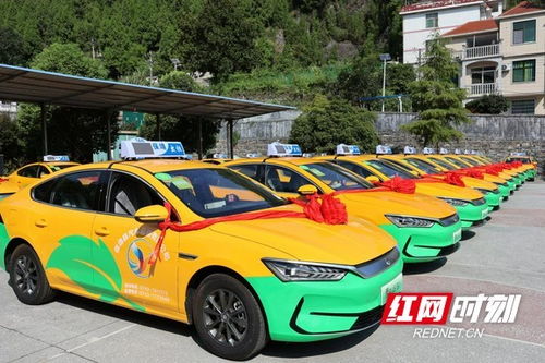 黃金茶城駛入綠色未來，保靖縣60臺新能源出租車正式投運