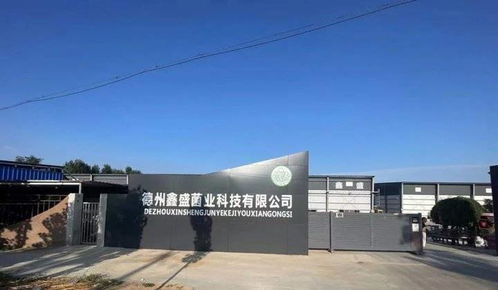 德州鑫盛鹿茸菇廠租賃10臺(tái)ID.4 CROZZ業(yè)務(wù)用車 綠色智行，助力企業(yè)高效發(fā)展