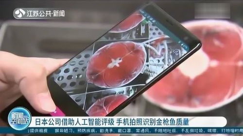 日本公司研發(fā)人工智能評級系統(tǒng) 用手機(jī)拍照識別金槍魚質(zhì)量，引領(lǐng)AI應(yīng)用軟件開發(fā)新浪潮